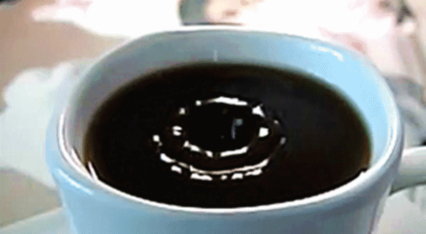 1755152338268469.gif 11.gif