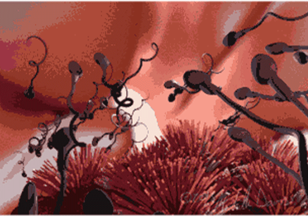 1761359991331449.gif alt_09.gif